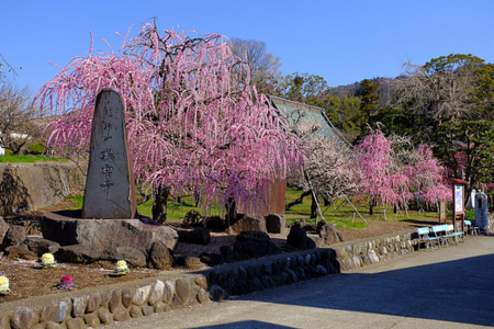 f:id:yummy21:20150418091723j:image:w450 f:id:yummy21:20150418091723j:image:w450