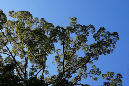 f:id:yummy21:20150418091724j:image:w450 f:id:yummy21:20150418091724j:image:w450