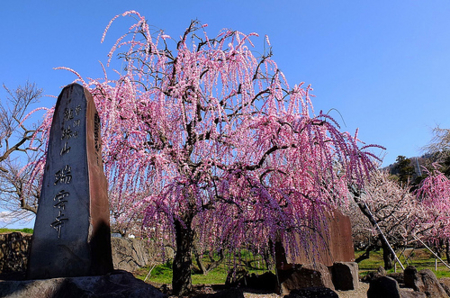 f:id:yummy21:20150418091725j:image:w450 f:id:yummy21:20150418091725j:image:w450