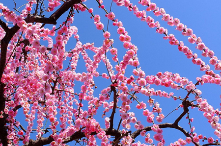 f:id:yummy21:20150418091726j:image:w450 f:id:yummy21:20150418091726j:image:w450