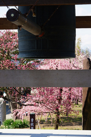 f:id:yummy21:20150418091727j:image:w223 f:id:yummy21:20150418091727j:image:w223