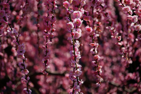 f:id:yummy21:20150418091729j:image:w450 f:id:yummy21:20150418091729j:image:w450