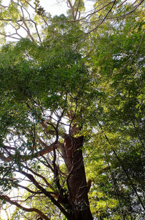 f:id:yummy21:20150418091730j:image:w300 f:id:yummy21:20150418091730j:image:w300