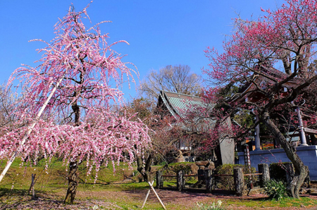 f:id:yummy21:20150418091731j:image:w450 f:id:yummy21:20150418091731j:image:w450