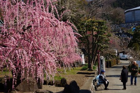 f:id:yummy21:20150418091734j:image:w450 f:id:yummy21:20150418091734j:image:w450