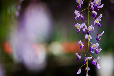 f:id:yummy21:20150504111634j:image:w450
