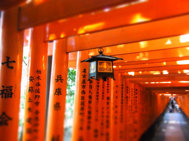 f:id:yumu19:20100919110155j:image:w290