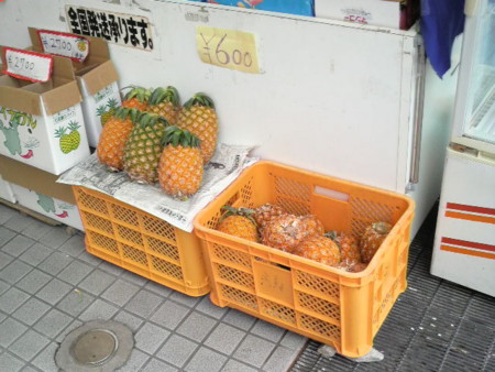 f:id:yuni-co:20091010101900j:image f:id:yuni-co:20091010101900j:image