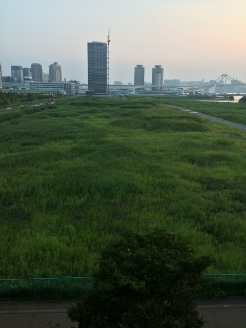 f:id:yupiyama:20140726104354j:plain f:id:yupiyama:20140726104354j:plain