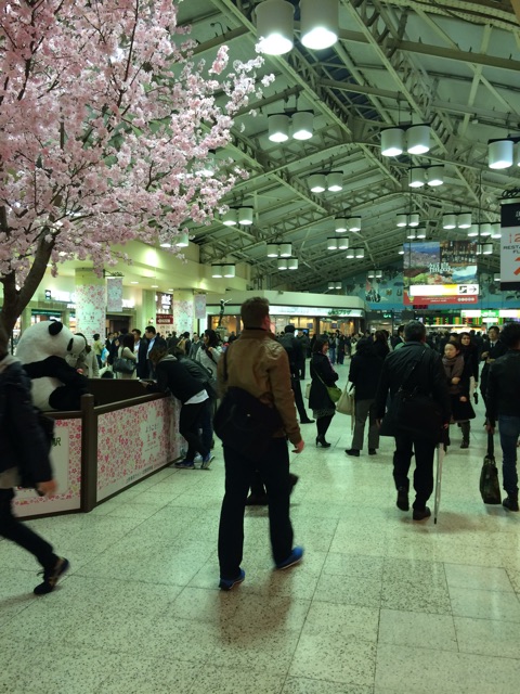 f:id:yupiyama:20150412230537j:plain f:id:yupiyama:20150412230537j:plain