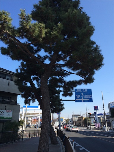 f:id:yupiyama:20160117133749j:image f:id:yupiyama:20160117133749j:image