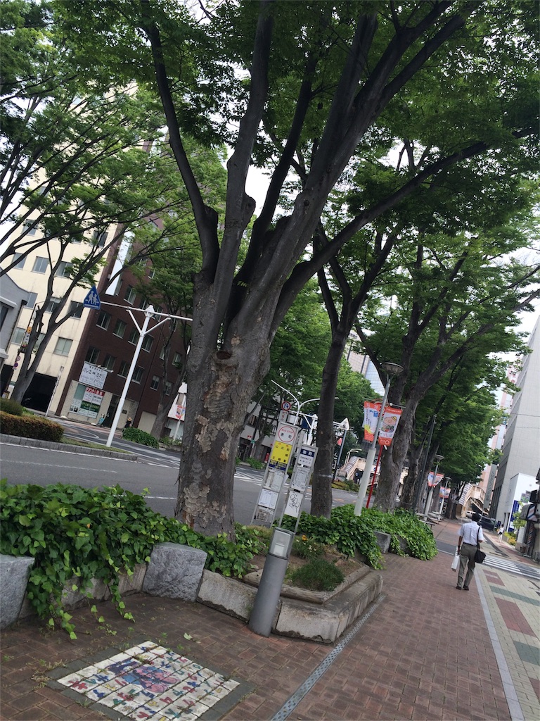 f:id:yureru-skirt:20160606200544j:image f:id:yureru-skirt:20160606200544j:image