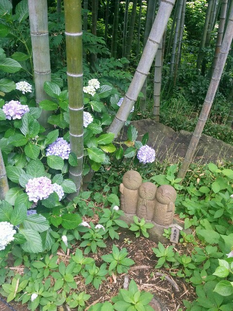 f:id:yuri0slowlife:20160701202625j:image f:id:yuri0slowlife:20160701202625j:image