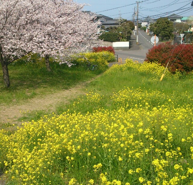 f:id:yurime-sf:20160223181605j:image f:id:yurime-sf:20160223181605j:image