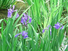 f:id:yuriyuri14:20151026222335j:plain f:id:yuriyuri14:20151026222335j:plain