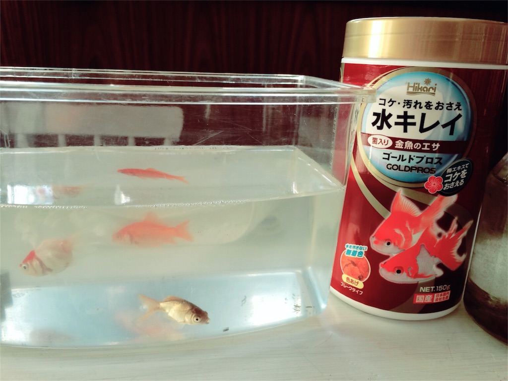 f:id:yurucat:20151106183703j:image f:id:yurucat:20151106183703j:image
