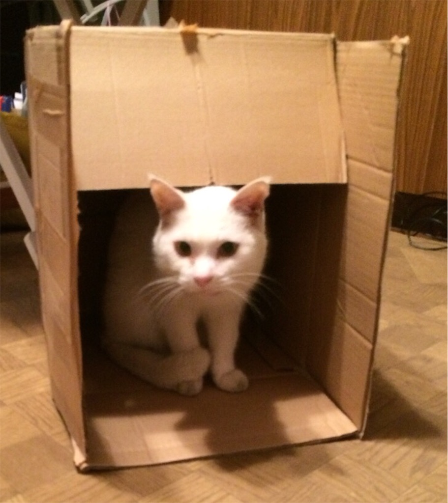 f:id:yurucat:20151229204716j:image f:id:yurucat:20151229204716j:image