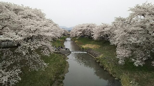 f:id:yurupule:20160412201724j:image f:id:yurupule:20160412201724j:image