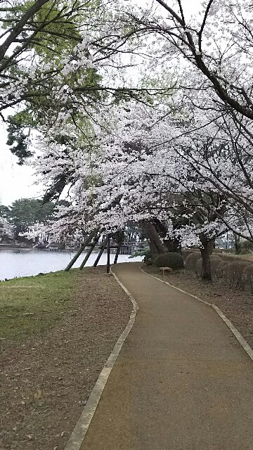 f:id:yurupule:20160412201830j:image f:id:yurupule:20160412201830j:image