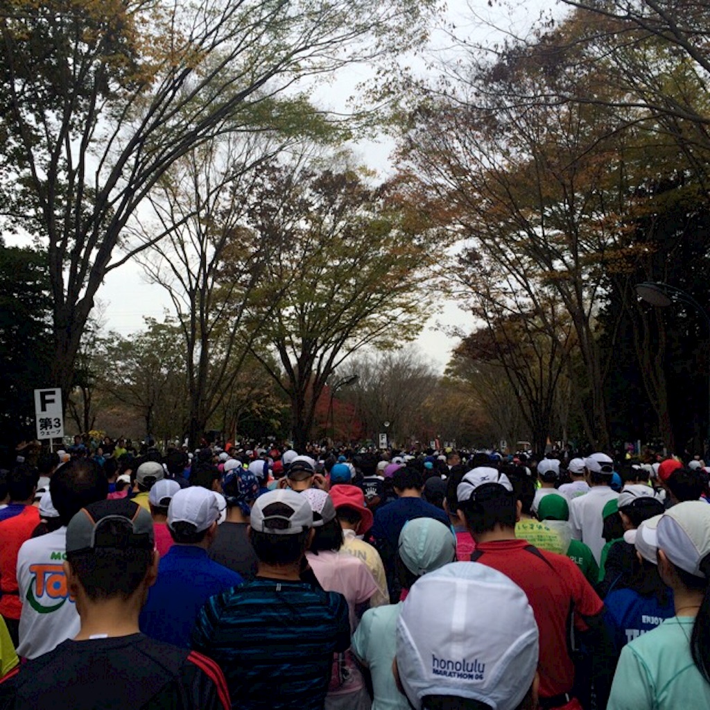 f:id:yururi21:20151124163803j:image f:id:yururi21:20151124163803j:image