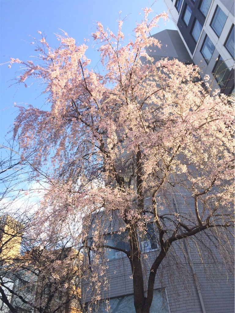 f:id:yururi21:20160323233741j:image f:id:yururi21:20160323233741j:image