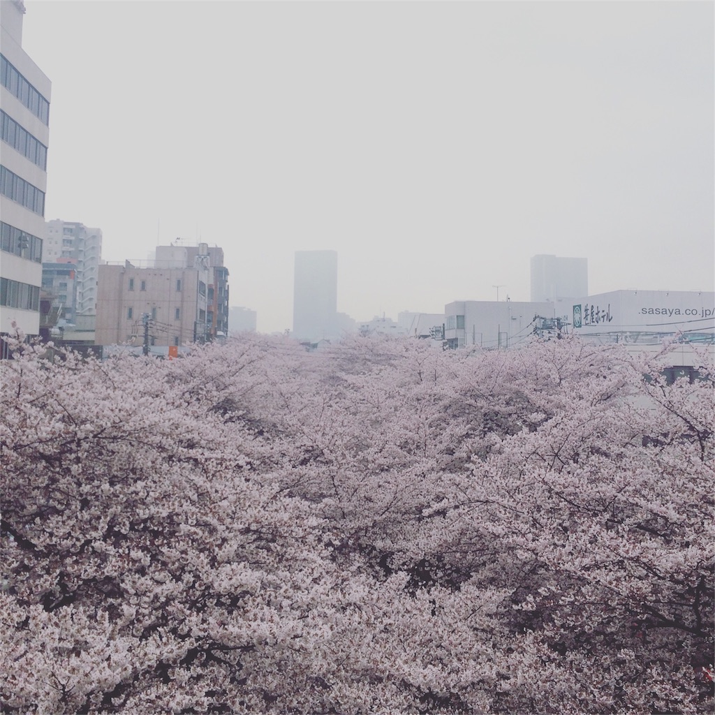 f:id:yururi21:20160403234834j:image f:id:yururi21:20160403234834j:image