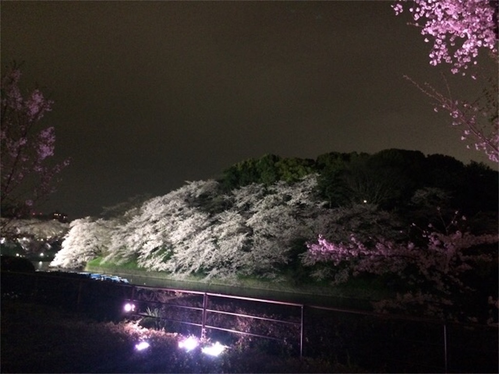 f:id:yururi21:20160406225752j:image f:id:yururi21:20160406225752j:image