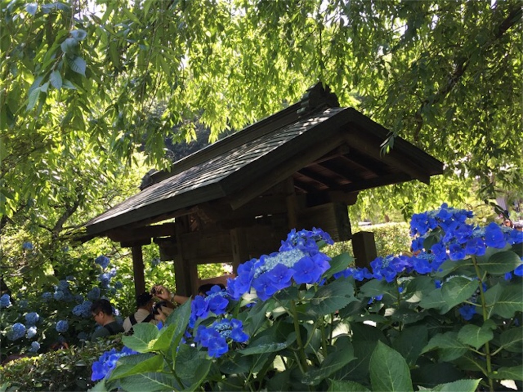 f:id:yururi21:20160621161058j:image f:id:yururi21:20160621161058j:image