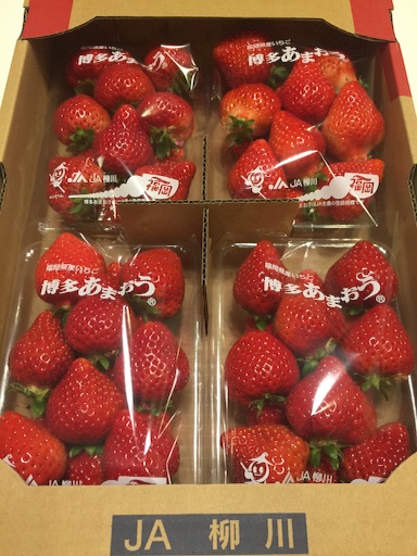 f:id:yuruyurumakimaki:20160302172303j:image f:id:yuruyurumakimaki:20160302172303j:image