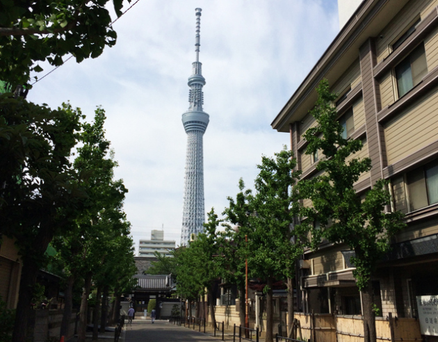 f:id:yusakuhamajima:20140507224908j:plain f:id:yusakuhamajima:20140507224908j:plain