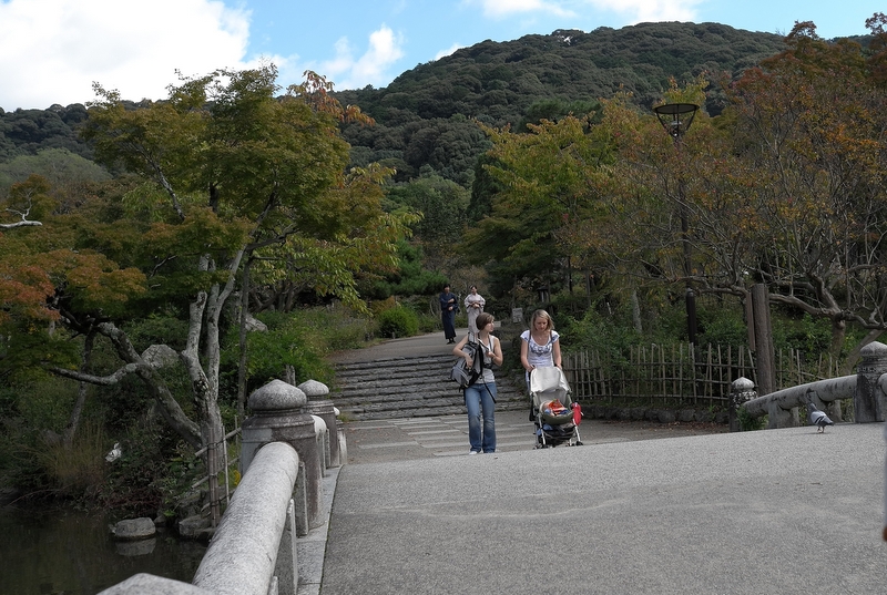 f:id:yushi1028:20131021122641j:plain f:id:yushi1028:20131021122641j:plain