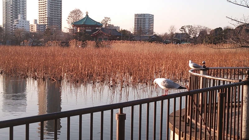 f:id:yutorich:20130228163121j:plain f:id:yutorich:20130228163121j:plain
