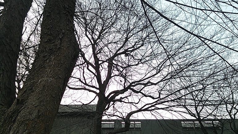 f:id:yutorich:20130228171215j:plain f:id:yutorich:20130228171215j:plain