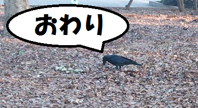 f:id:yutorich:20130301001745p:plain f:id:yutorich:20130301001745p:plain