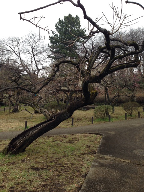 f:id:yuugataJoxaren:20150222213337j:plain f:id:yuugataJoxaren:20150222213337j:plain