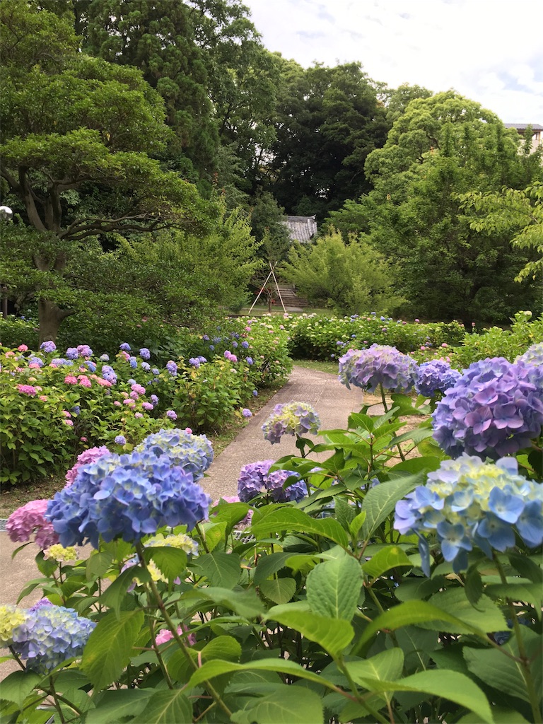 f:id:yuuki-houjyuin:20160608123348j:image f:id:yuuki-houjyuin:20160608123348j:image
