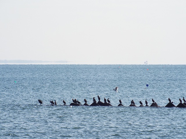 f:id:yuuko1220:20151208215705j:plain f:id:yuuko1220:20151208215705j:plain