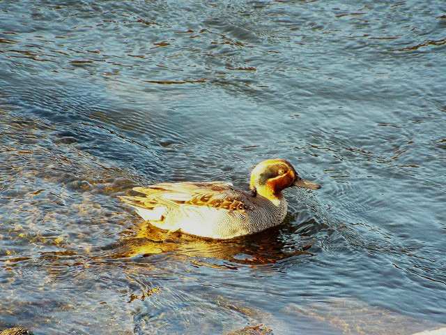 f:id:yuuko1220:20160102224621j:plain