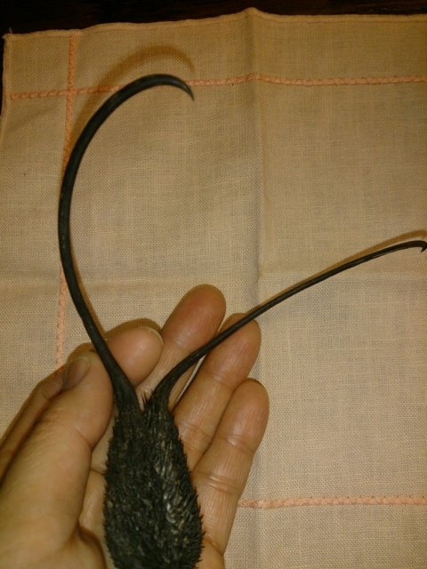 f:id:yuuko1220:20160104070017j:plain