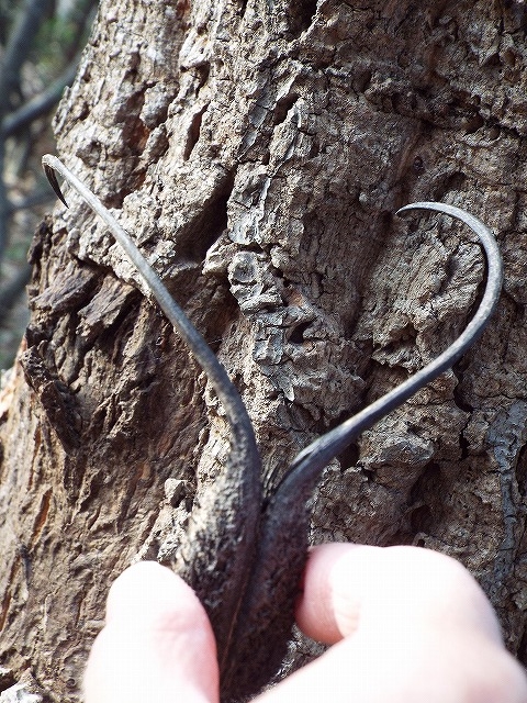 f:id:yuuko1220:20160104070221j:plain