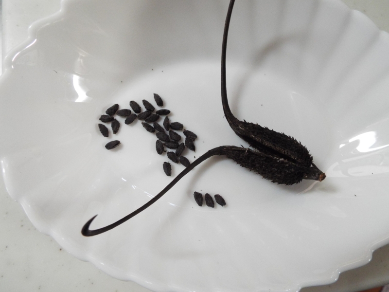 f:id:yuuko1220:20160121230856j:plain