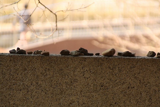 f:id:yuuko1220:20160123224150j:plain