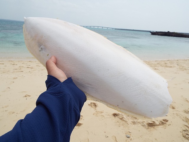 f:id:yuuko1220:20160326222544j:plain