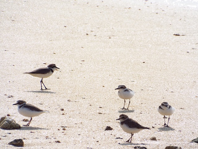 f:id:yuuko1220:20160327094840j:plain