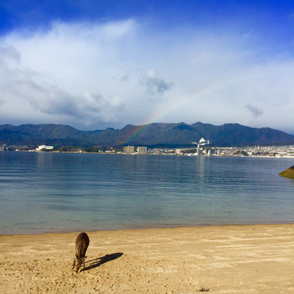 f:id:yuzuprin:20160216144541j:plain f:id:yuzuprin:20160216144541j:plain