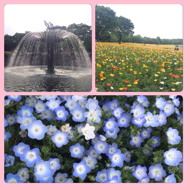 f:id:yyy459:20150602013129j:plain f:id:yyy459:20150602013129j:plain