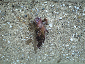 f:id:z50:20110610194256j:image f:id:z50:20110610194256j:image