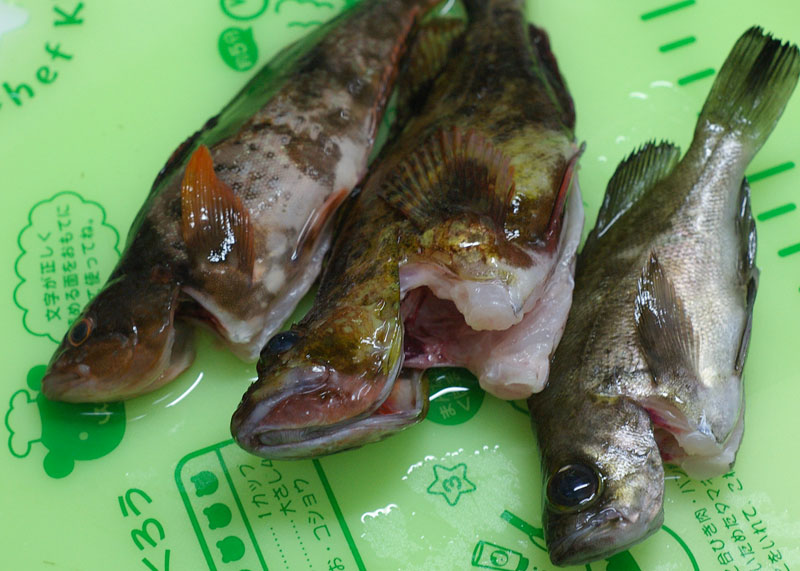 f:id:z50:20110610194300j:image f:id:z50:20110610194300j:image