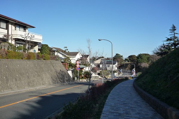 f:id:zaikabou:20090111190828j:image