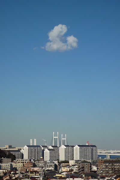 f:id:zaikabou:20090111191214j:image